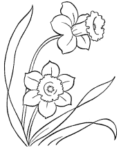 flower coloring pages