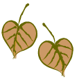 fall leaves