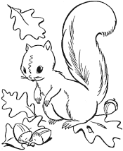 nature coloring pages
